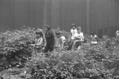 1979-Jungschar-SoLa-Girlen-Ebnat-Kappel-SG-32