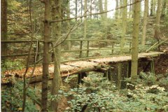 1987 Abbruch Roverbrücke Tälisberg