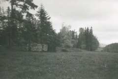 img022