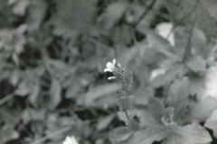 img025
