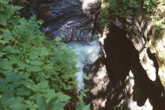 img029