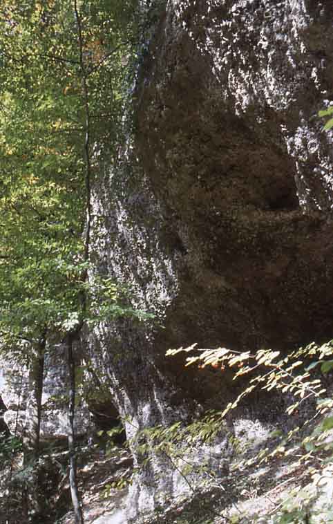 1989-Weekend-Baar-ZG-22