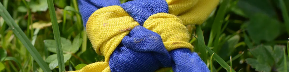 Blau-gelbe Pfadikrawatte mit Knoten im Gras